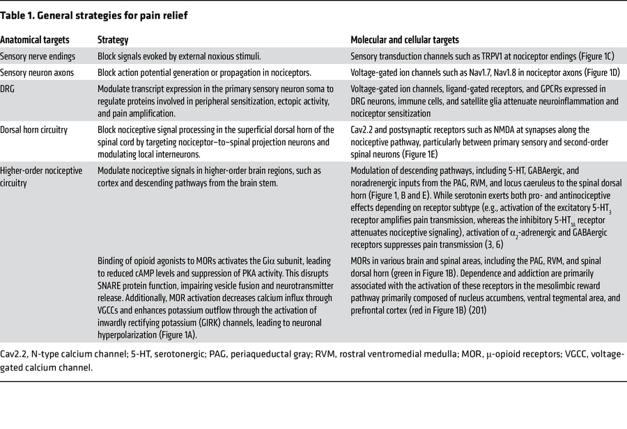 General strategies for pain relief