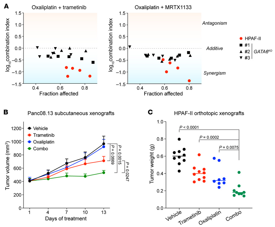 KRAS/ERK inhibition synergizes with oxaliplatin in pancreatic cancer mod...