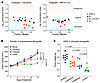KRAS/ERK inhibition synergizes with oxaliplatin in pancreatic cancer models