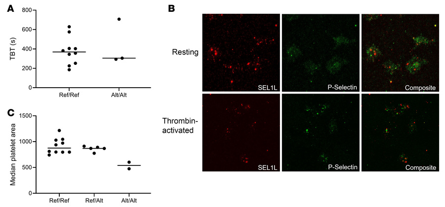 Clinical phenotyping and analysis of platelets from affected horses.
(A)...