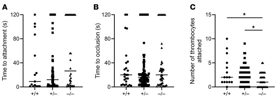 Defective thrombocyte attachment in sel1l mutant zebrafish.
Laser-mediat...