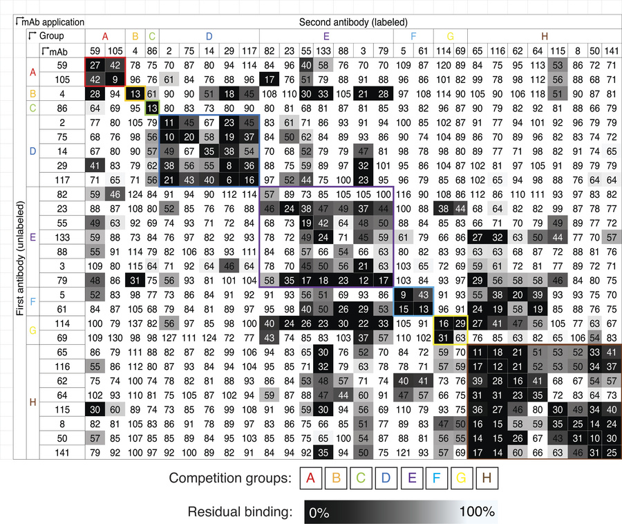 Competition assessment of human antibodies to CCHFV using M segment–expr...