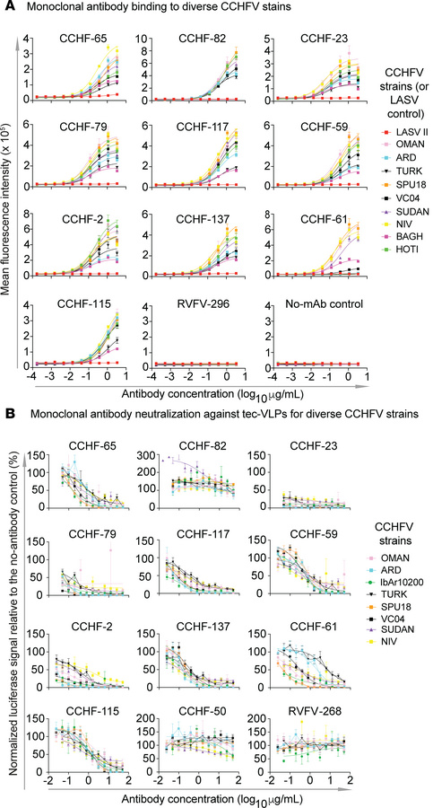 CCHFV-specific mAbs bind cells expressing the M segment of various strai...
