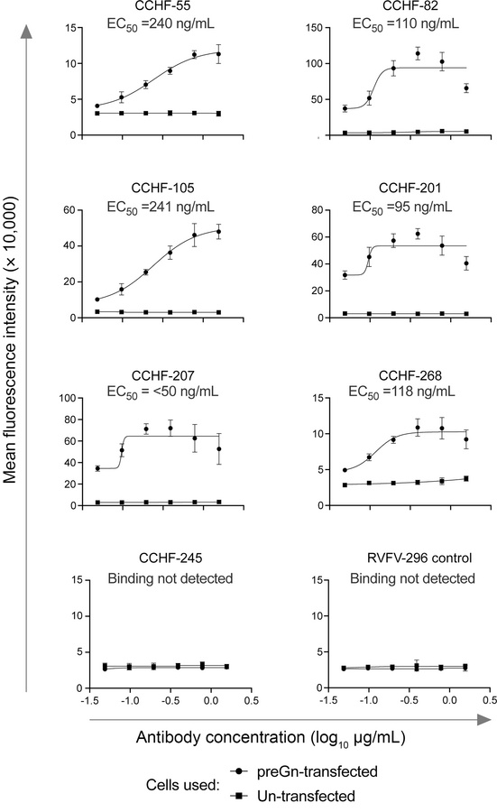 PreGn-identifying antibodies bind to preGn-expressing cells.
PreGn bindi...