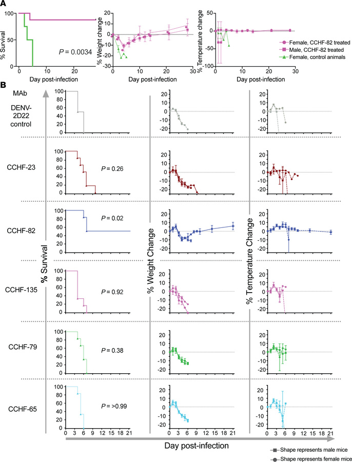 CCHF-82 provides partial protection as a postexposure prophylaxis agains...