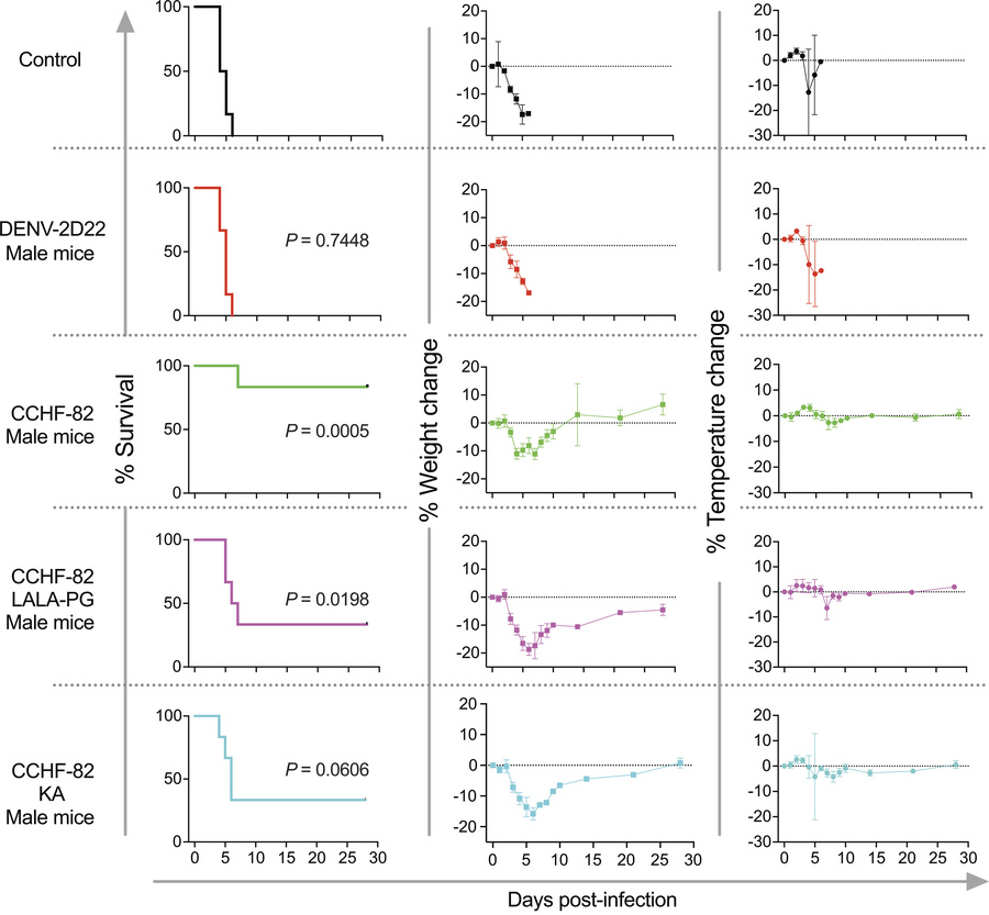 CCHF-82 protection capacity is primarily driven by complement activation...