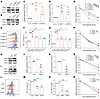 PRMT5 and WDR77 negatively regulate PDCD1.