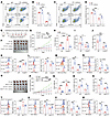 PRMT5/WDR77 maintain antitumor immunity through PD-1.