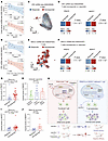 PRMT5 and WDR77 in T cells are associated with PDCD1 and the outcomes of an
