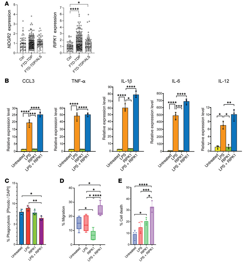 Expression levels of differentially methylated genes in postmortem FTD-A...