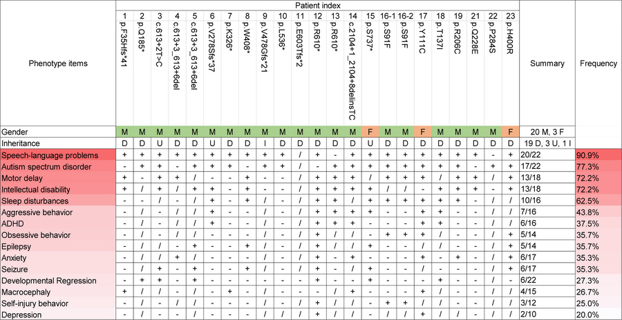 Phenotypic spectrum of individuals carrying INTS6 variants.
M, male; F, ...