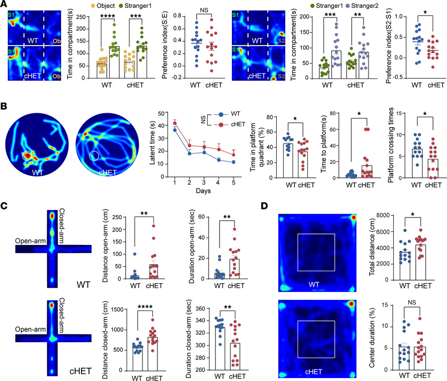 
Ints6 cHET mice lead to social and cognitive impairments.
(A) Heatmaps ...