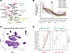 Expression patterns of INTS1–15 in the human brain and enrichment of de nov