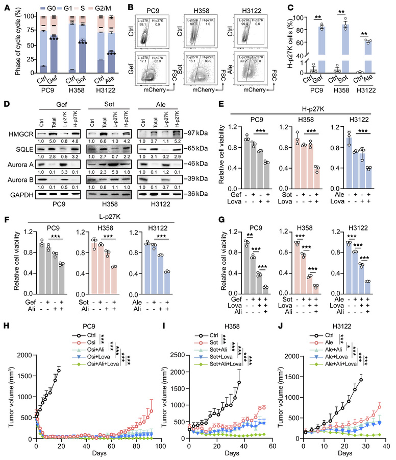 Combination of targeted therapy with lovastatin and alisertib shows syne...