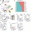 SPOP inhibition enhances immunotherapy effects in murine models.