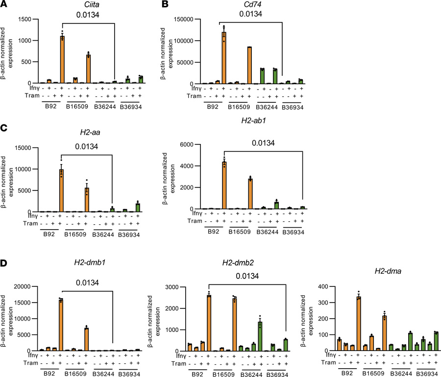 Ciita expression is lost in recurrent ATC cells.
(A–D) RT-PCR of 2 prima...