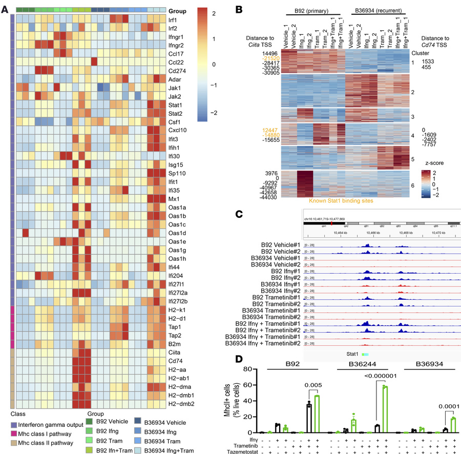 Loss of tumor cell MhcII expression is associated with epigenetic silenc...