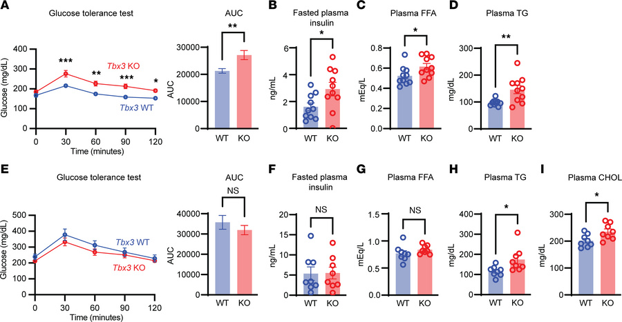 
Tbx3 loss exacerbates diet-induced metabolic syndrome.
(A) Intraperiton...