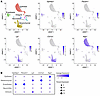 Gpihbp1 is expressed in ECs of the ChP, whereas Lpl is expressed mainly in