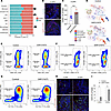 VEGFR3 inhibition alters myeloid and T cell composition and activation duri