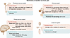 Summary of identified mechanisms involved in promoting and protecting from