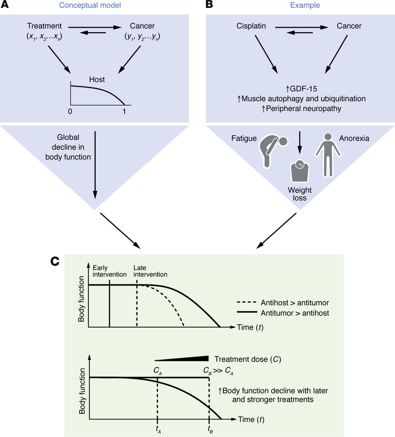 Dynamic effects of cancer treatment on outcome and cachexia.
Conceptuali...