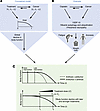 Dynamic effects of cancer treatment on outcome and cachexia.