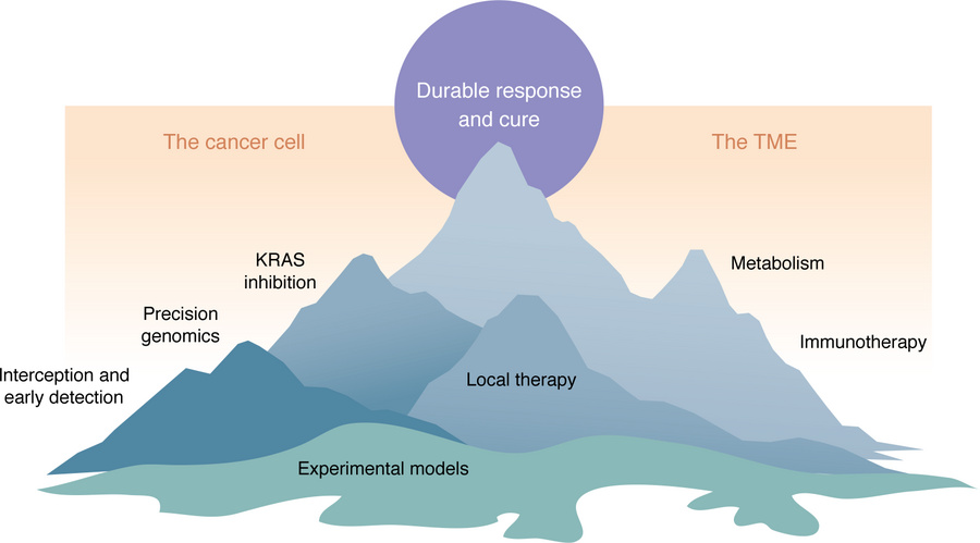 The PDAC translational landscape.
Here, the different faces of the mount...