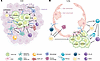 Site-specific tumor-stroma interactions regulating metastatic outgrowth.