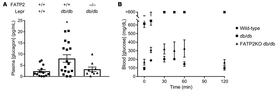 Effects of FATP2 deletion on glucagon.
(A) Random (nonfasting) plasma gl...