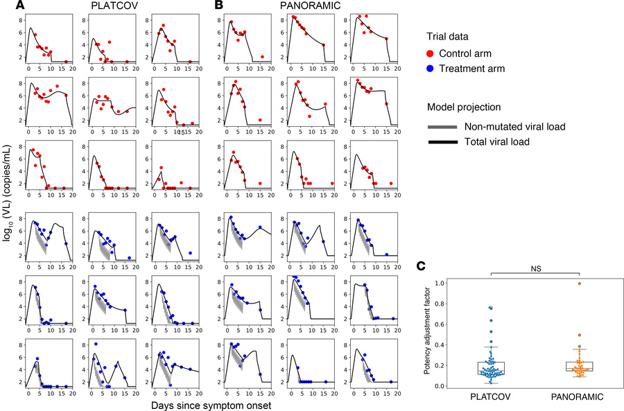 Mathematical model fits of SARS-CoV-2 viral load over time to a subset o...