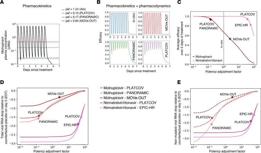 Relationship of drug pharmacokinetics and pharmacodynamics to in vivo po...
