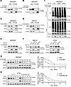 HHEX protein degradation is regulated by MID2-mediated K48-linked ubiquitin
