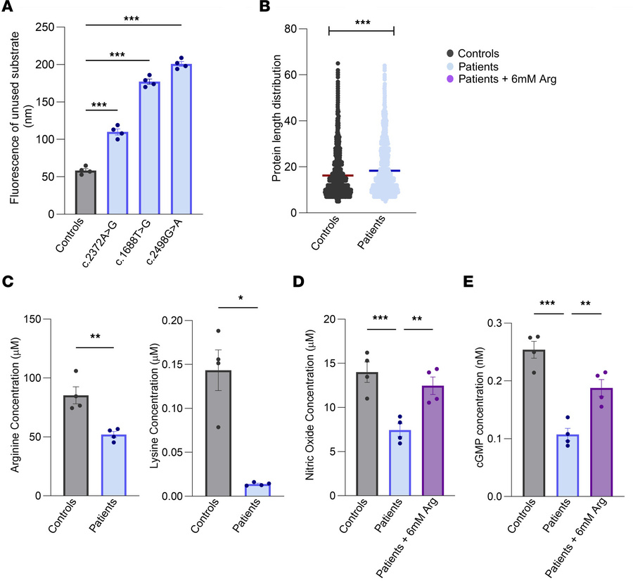 In vitro analysis of CPD variants.
(A) Comparison of enzyme activity in ...