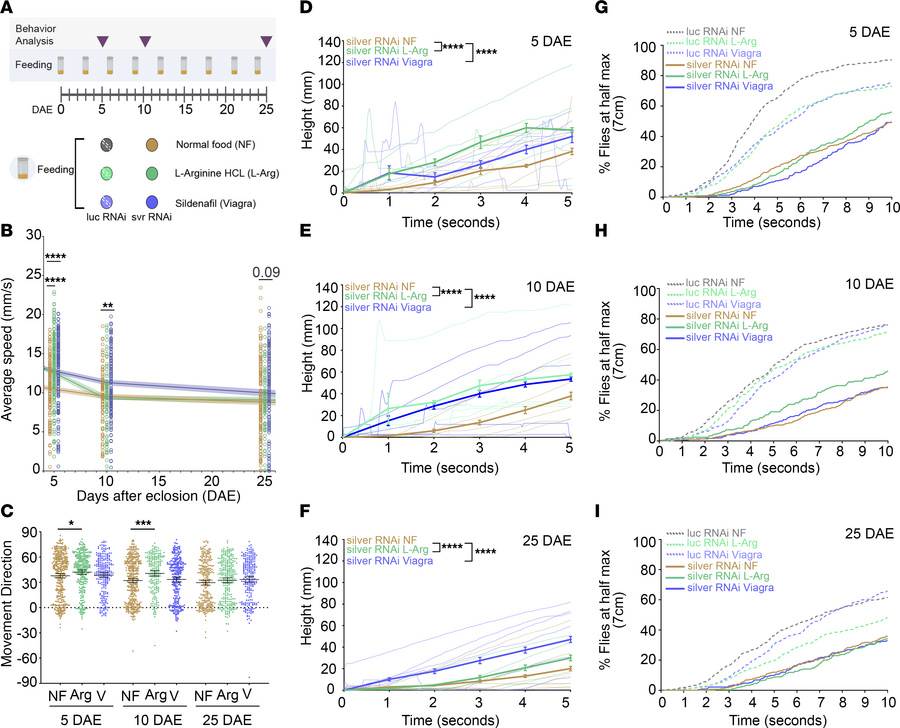 Feeding with l-arginine or sildenafil improves negative geotaxis behavio...