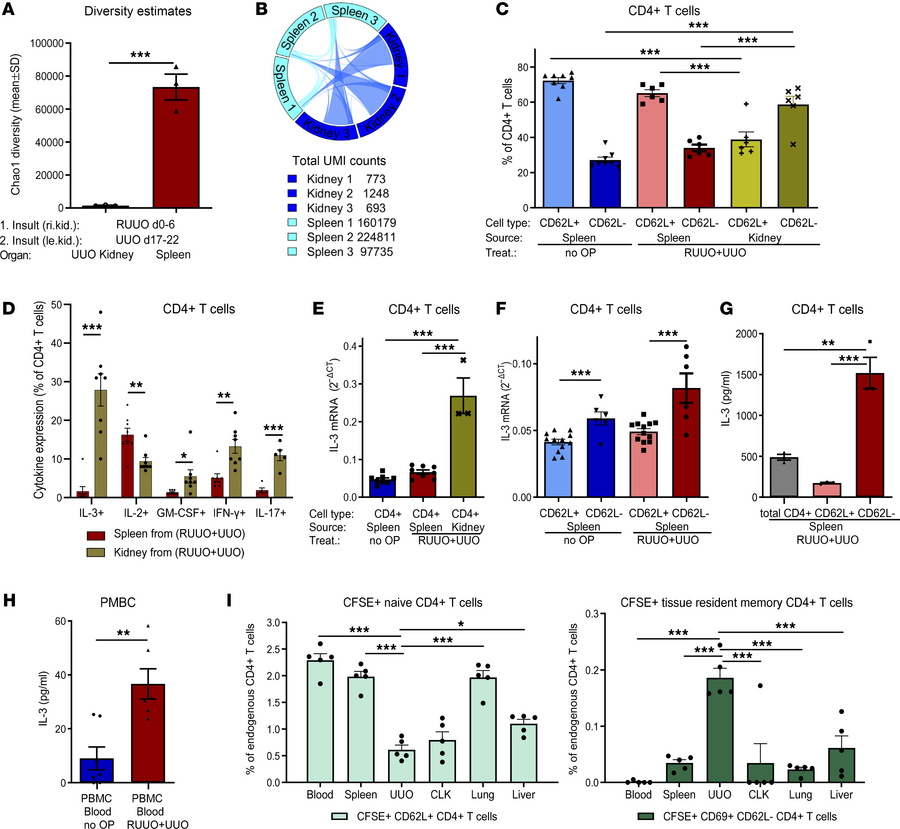 Fibrosis-memory leads to clonal expansion of CD4+ T cells in the kidney ...