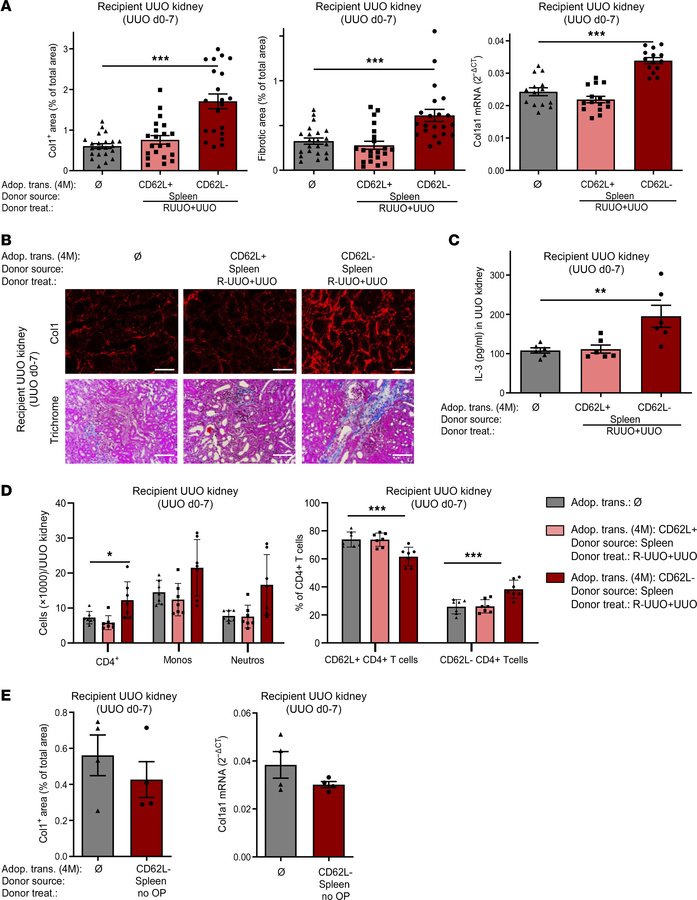 Fibrosis-memory can be transferred by memory but not naive CD4+ T cells....