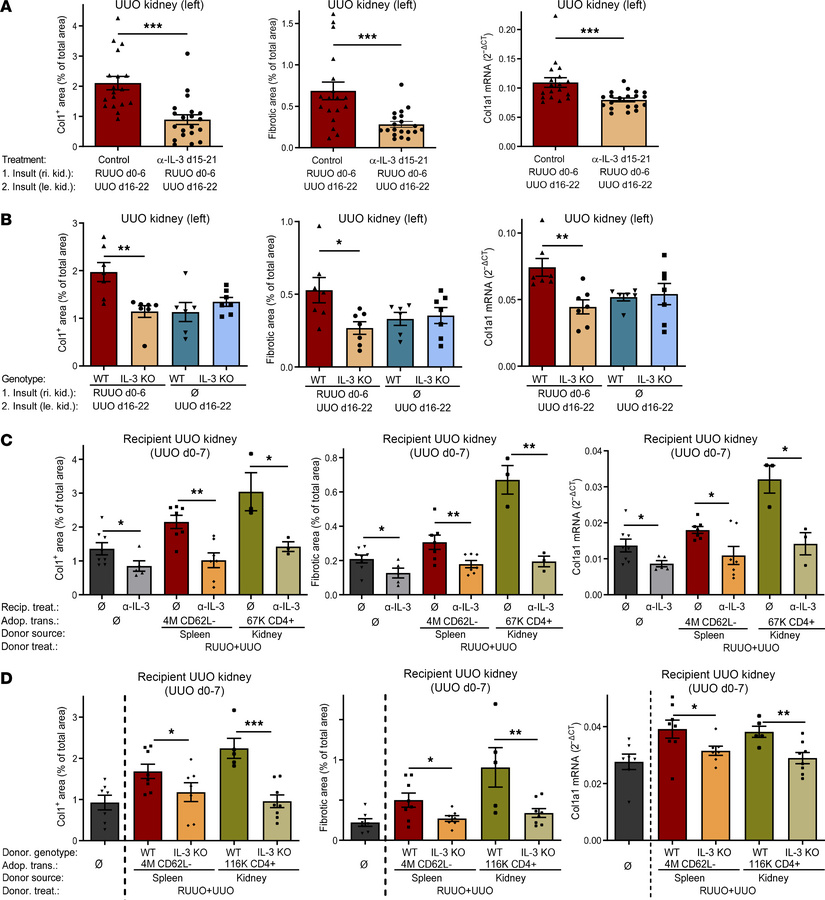 Retrieval and adoptive transfer of fibrosis-memory is dependent on T cel...