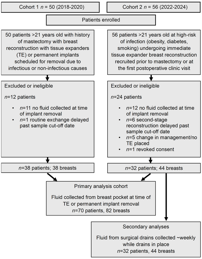 Recruitment strategy and sample collection overview.