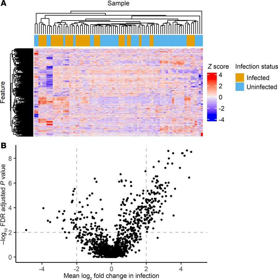 Untargeted metabolomic analysis of seroma fluid specimens collected at i...