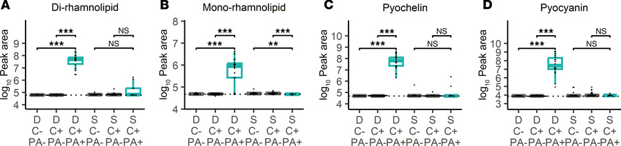 
P. aeruginosa metabolites in longitudinal drain fluid and seroma fluid ...