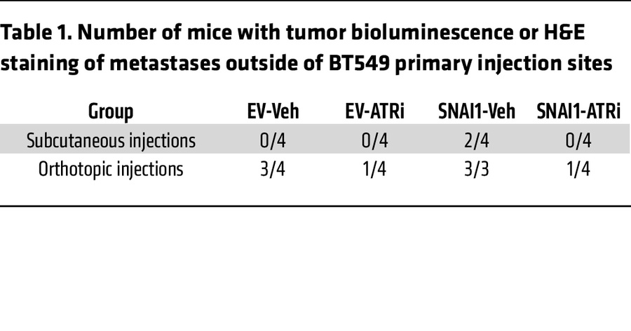 Number of mice with tumor bioluminescence or H&amp;E staining of metasta...