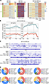 ATR suppresses R-loops at a group of EMT genes.