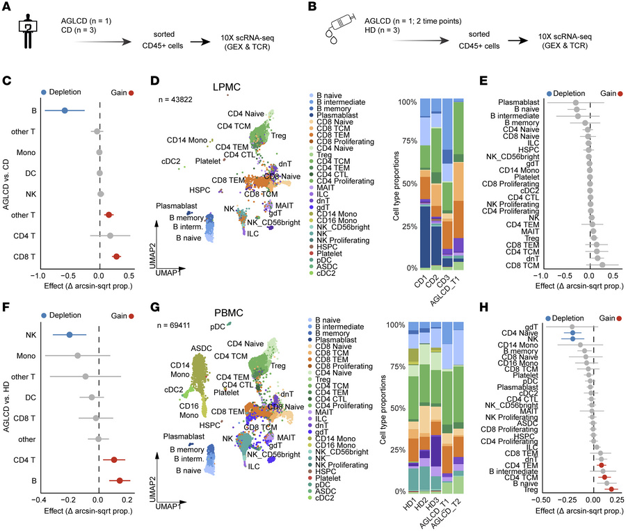 Altered peripheral and intestinal immune cell compositions in AGLCD reve...