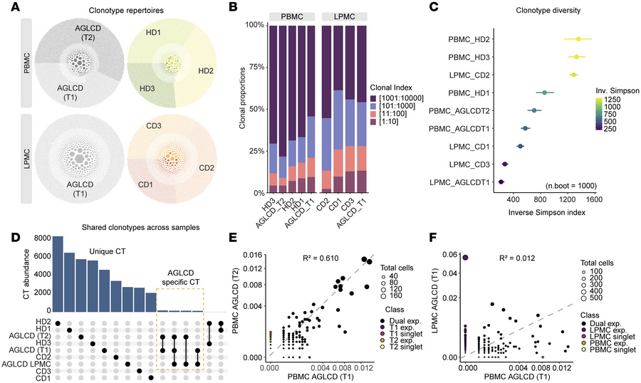 AGLCD patient TCR repertoires characterized by reduced diversity and per...
