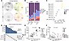 AGLCD patient TCR repertoires characterized by reduced diversity and persis