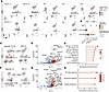 Characterization of clonally expanded T cells in the patient with AGLCD.