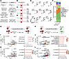 Detection of a somatic NRAS G13D mutation in T cells of the patient with AG