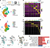 scRNA-seq of paw epidermis of RD and HFD male and female mice.