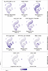 Profiling of epidermal cell clusters.